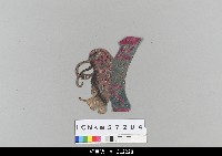 藏品(中國湖北皮影戲偶頭-生)的圖片